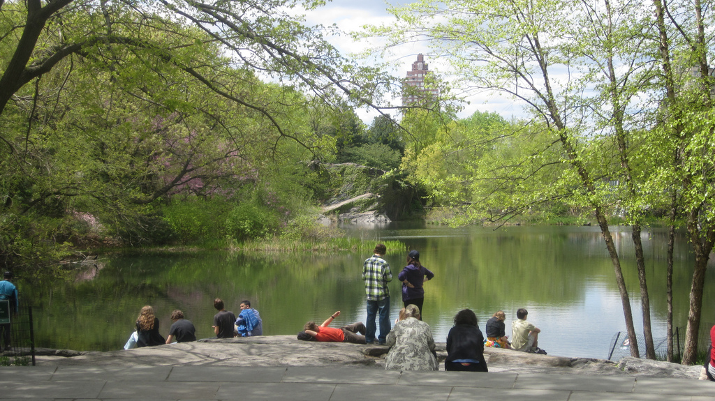 Teacher Field Trip: Exploring Turtle Pond and the Urban Ecologies of Central Park