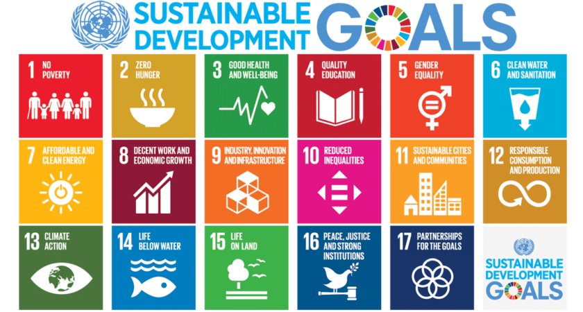 EcoSTEM: Infusing Sustainability Across Your Curriculum with SDGs