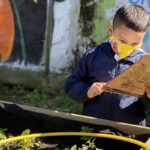 Outdoor Learning for NYC Schools (K-12) (Virtual Workshop)