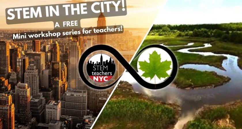 STEM in the City Series: Wildlife of NYC Salt Marshes with NYC Parks!￼