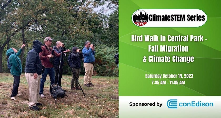 Fall Bird Walk in Central Park – Migration & Climate Change