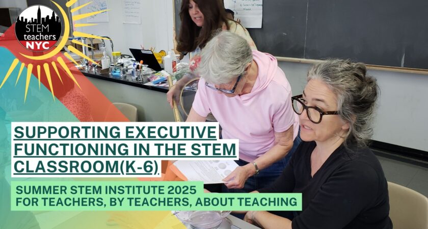 Supporting Executive Functioning in the STEM Classroom(K-6)