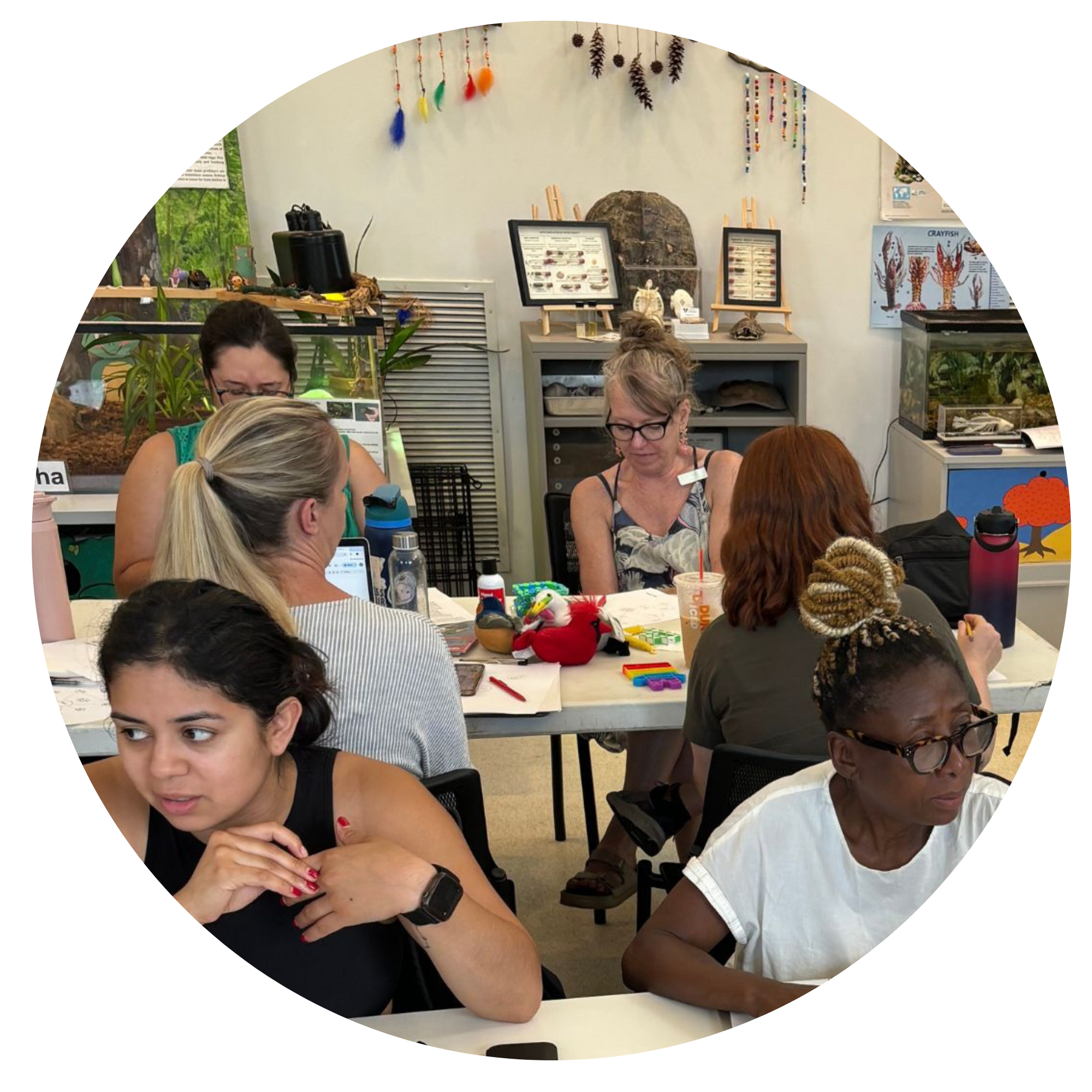 Teaching Urban Climate Change Logo