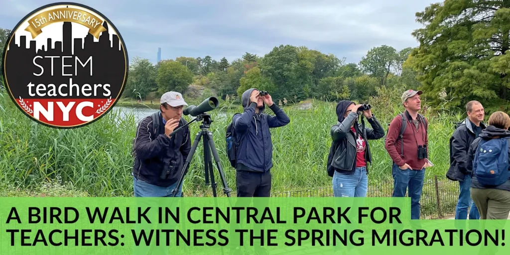 A Bird Walk in Central Park for Teachers: Witness the Spring Migration!