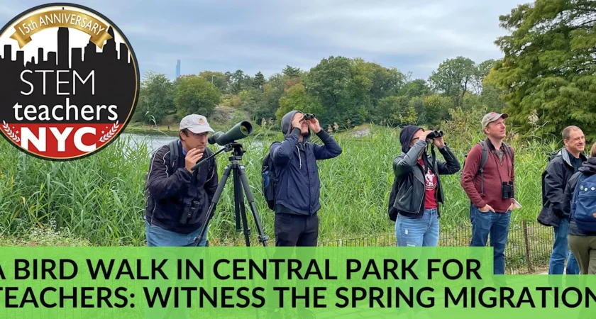 A Bird Walk in Central Park for Teachers: Witness the Spring Migration!